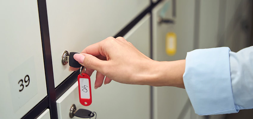 Cabinet Lock Installation in Rosemont, California